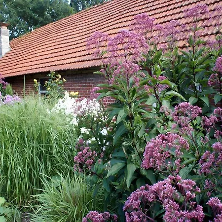 Daire Appealing In *