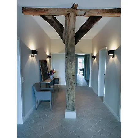 Appealing In Daire *