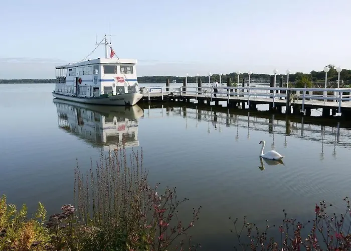 Appealing In Apartamento