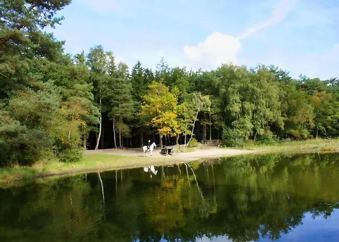 Appealing In * Westerstede