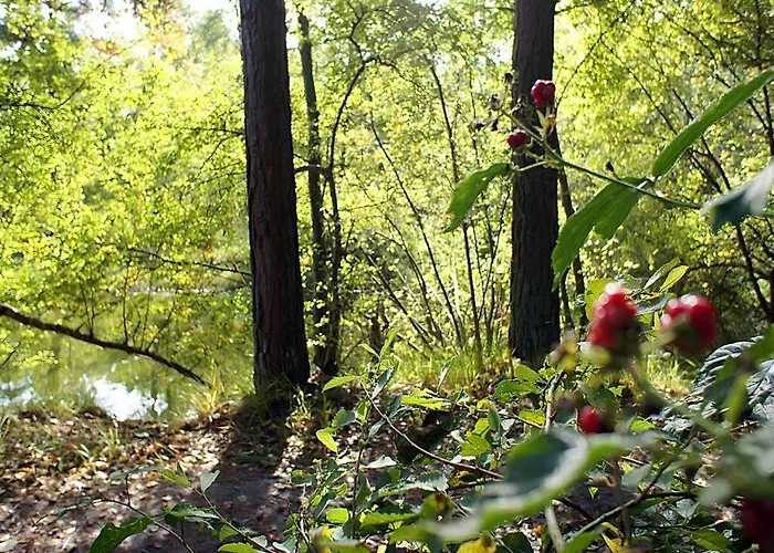 Apartamento Appealing In Westerstede