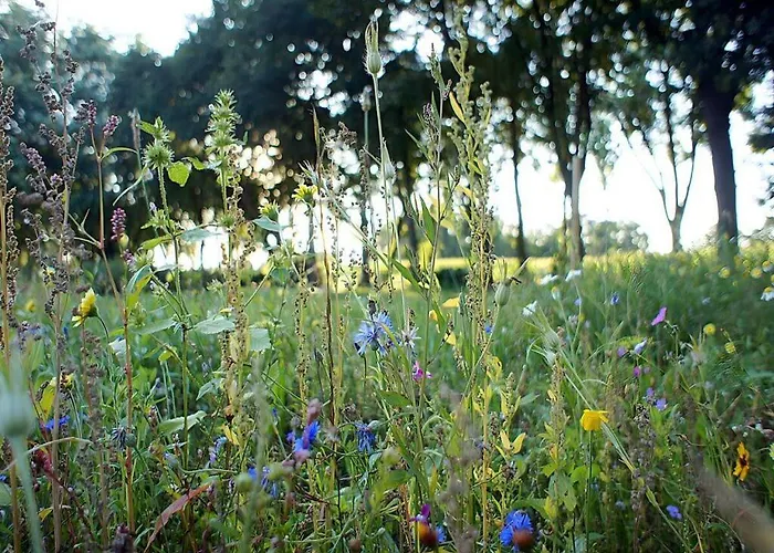 Apartamento Appealing In