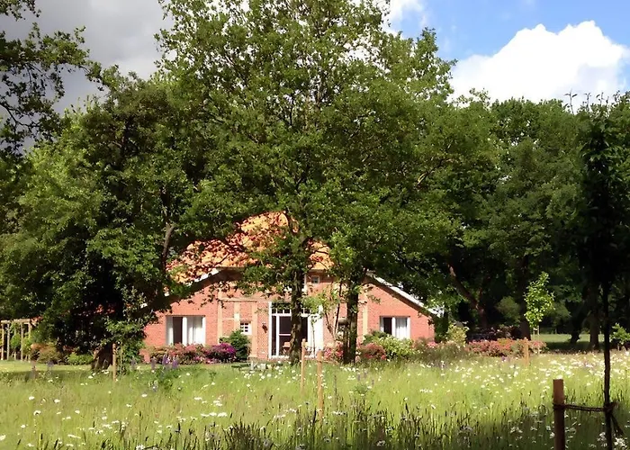 Appealing In Apartamento