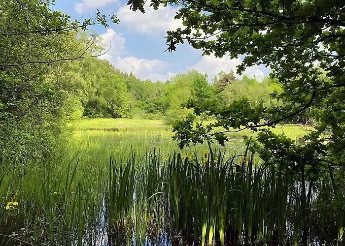 Appealing In Apartamento Westerstede